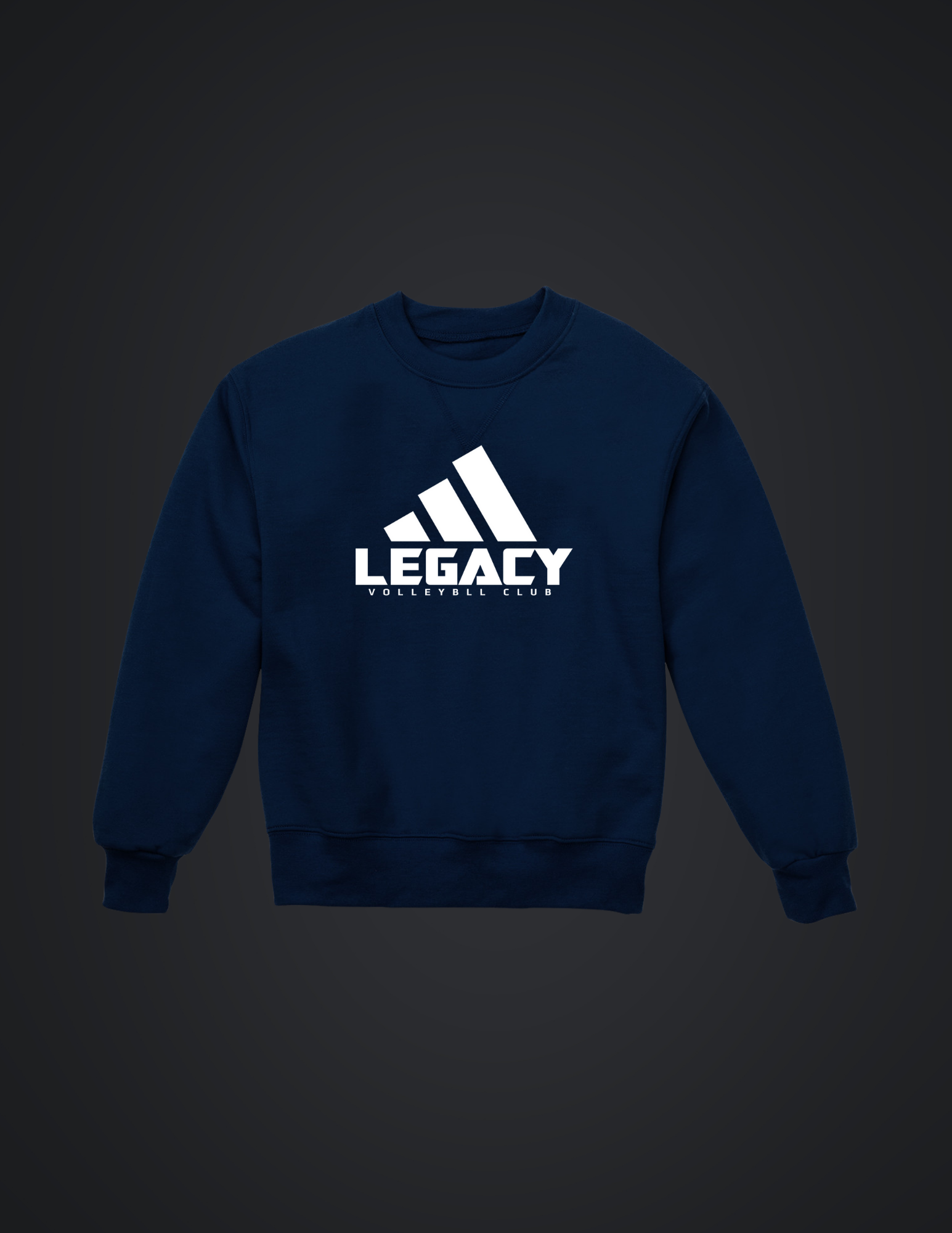 Navy Crewneck Sweatshirt